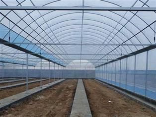 蔬菜大棚-溫室蔬菜大棚-日光溫室蔬菜大棚