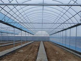 蔬菜大棚-溫室蔬菜大棚-日光溫室蔬菜大棚