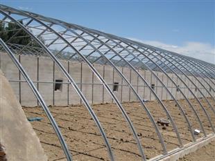 圓管插地棚-橢圓管大棚