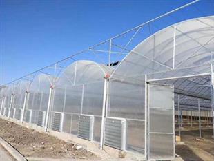 薄膜連棟大棚-溫室大棚