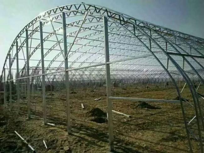 河南C型鋼大棚-種植蔬菜大棚-暖棚
