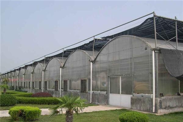 蔬菜溫室大棚