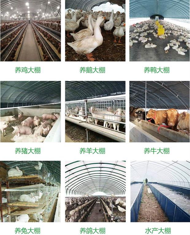 養殖大棚